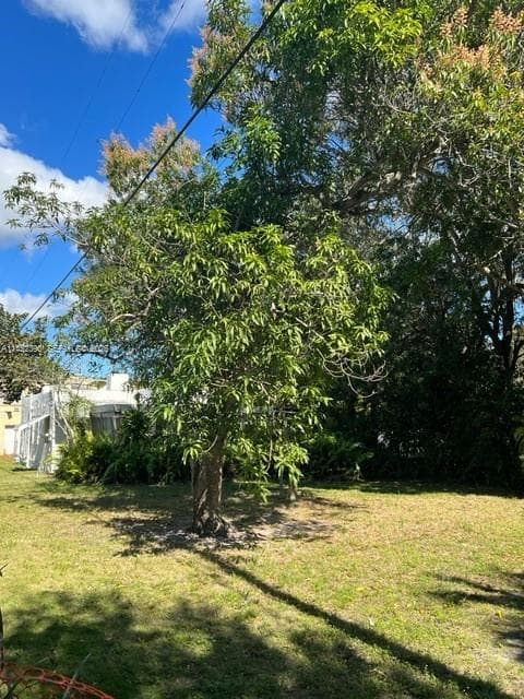 821 NE 120th St, Biscayne Park FL 33161