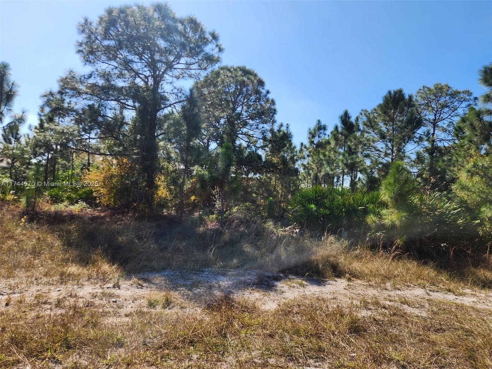 2719 50 W, Lehigh Acres FL 33971