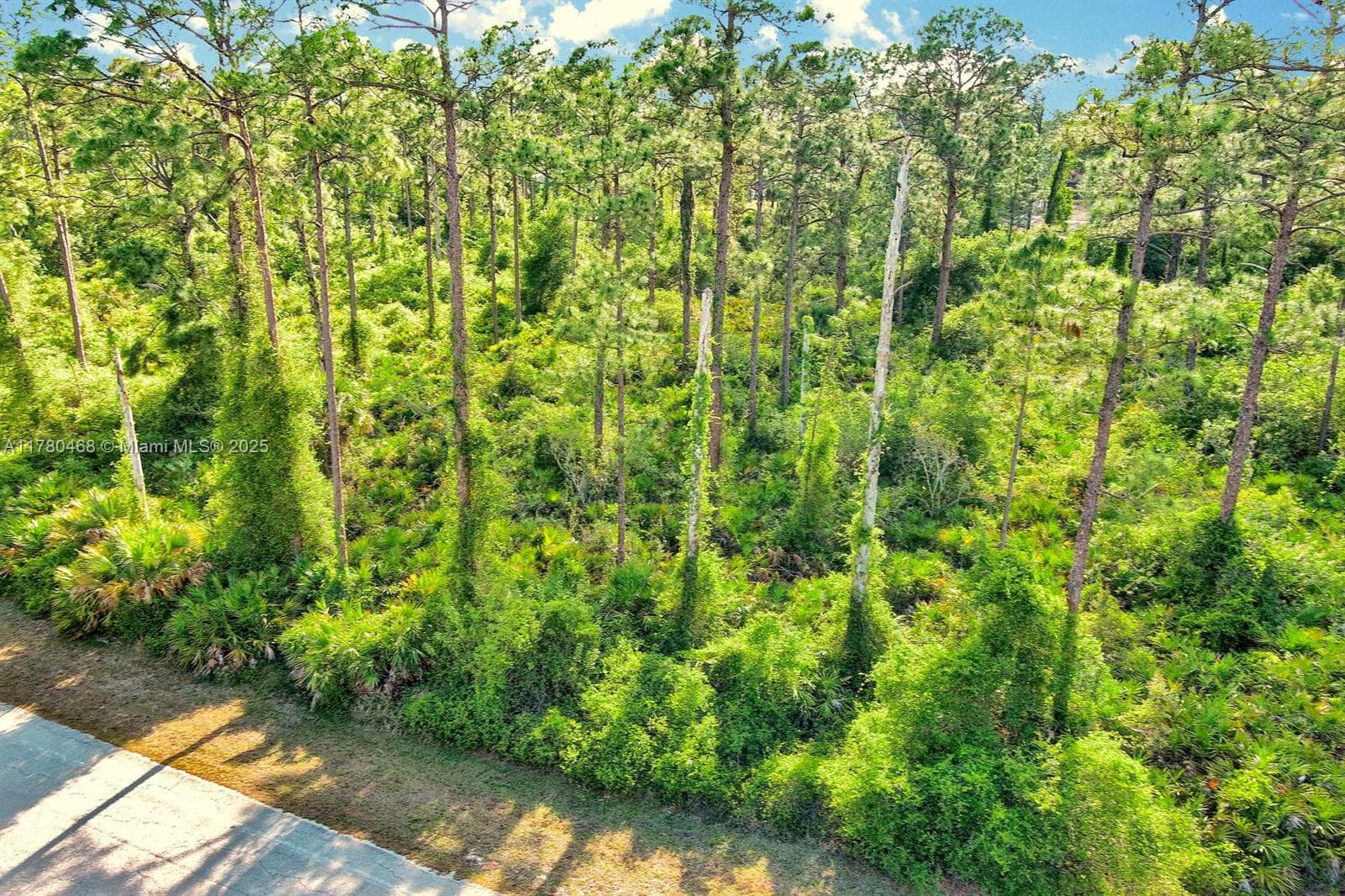 2019 COLUMBUS AVE, Lehigh Acres FL 33920