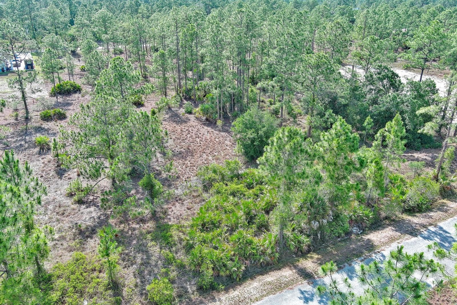 317 Fitch Ave, Lehigh Acres FL 33936
