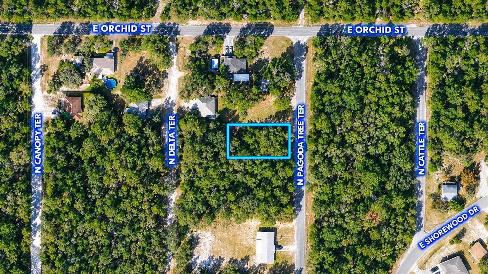 6634 N Pagoda Tree Terrace, FL 34442