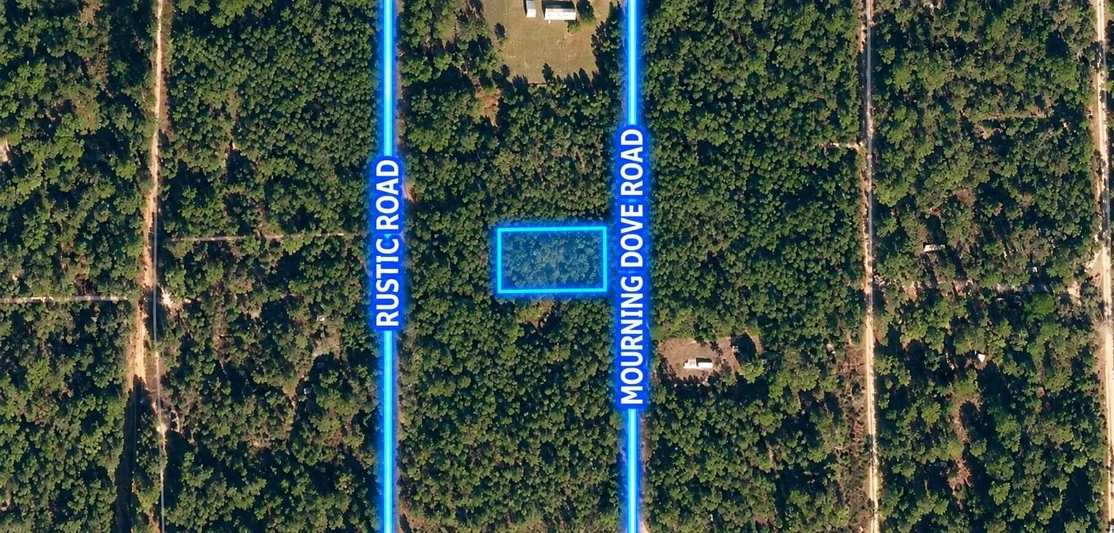 223 Mourning Dove Road, FL 32189