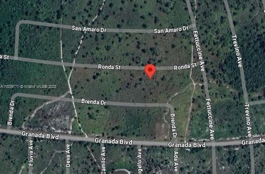 7811 RONDA ST, Sebring FL 33872