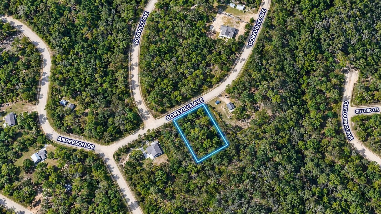 Tbd Goreville, FL 32420