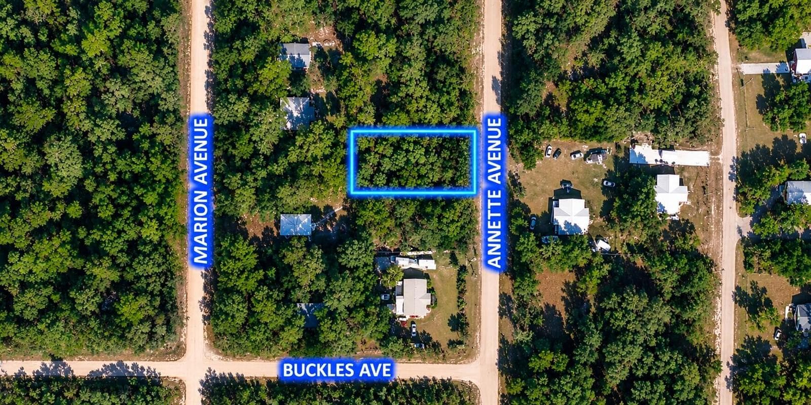 915 Annette Avenue, FL 32148