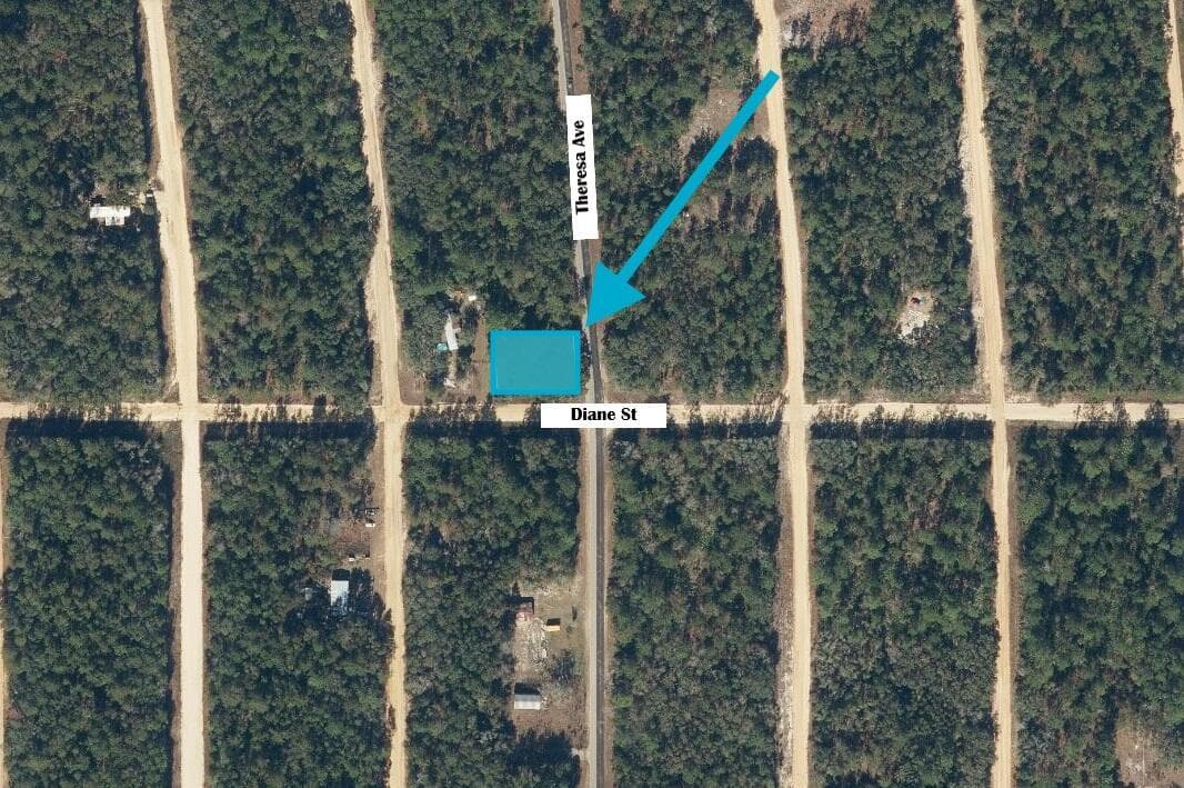 Tbd Theresa Avenue, FL 32148