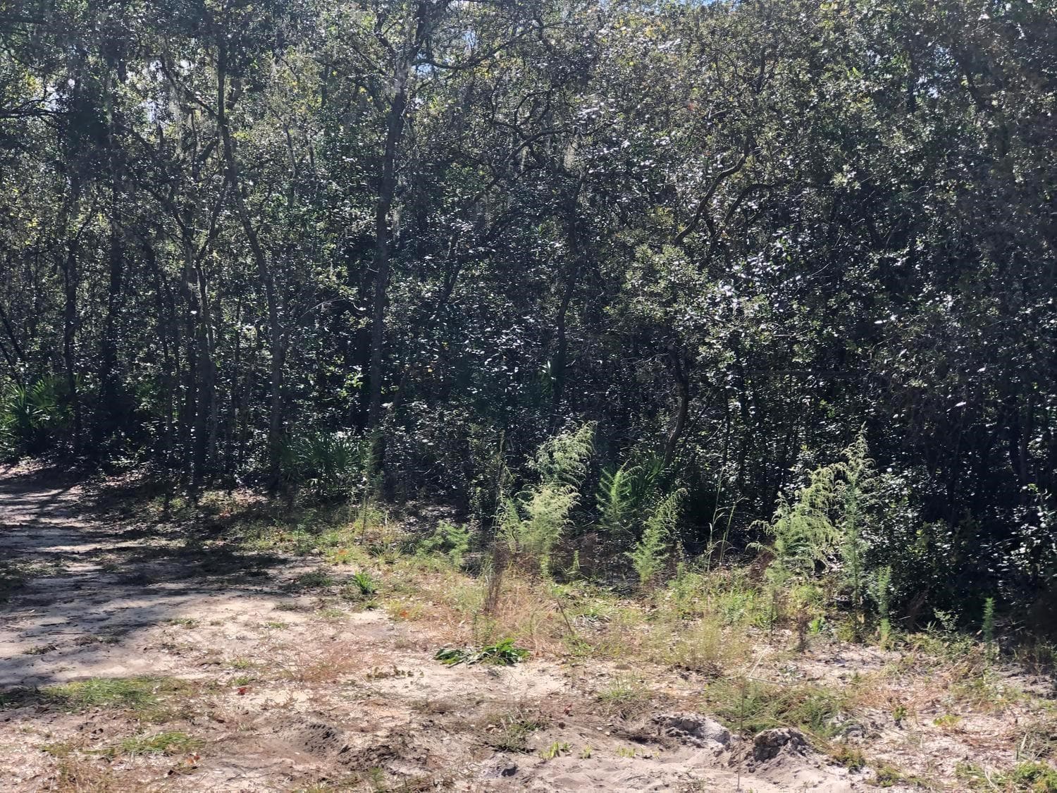 0 Oregon Street, FL 32148