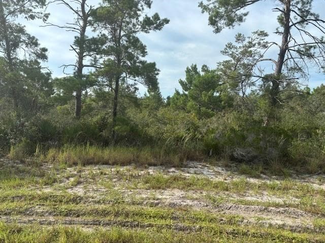 0 Cypress Street, FL 32148