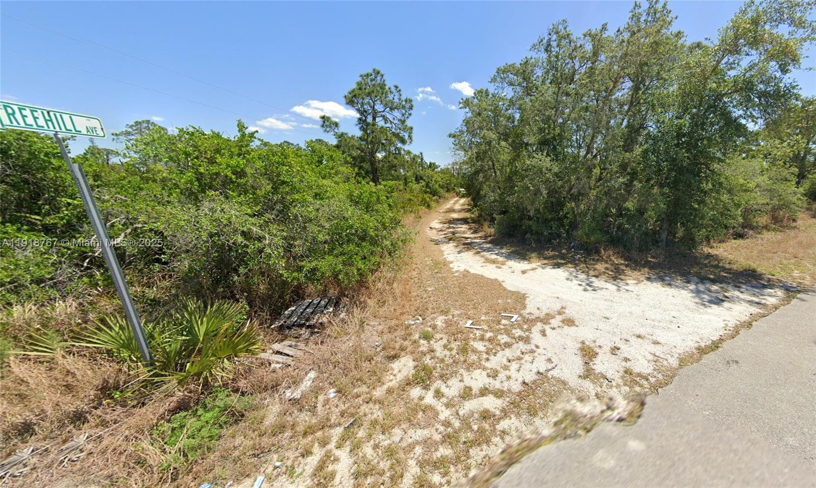 1027 FREEHILL AVE, Lake Placid FL 33071