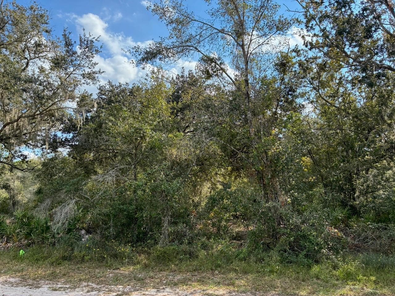 2701 Park Avenue, FL 33855