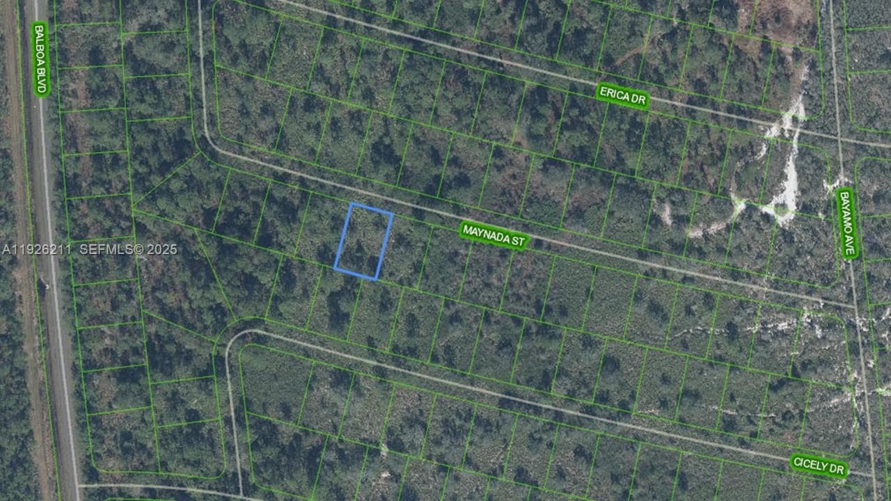 8725 MAYNADA ST, Sebring FL 33872