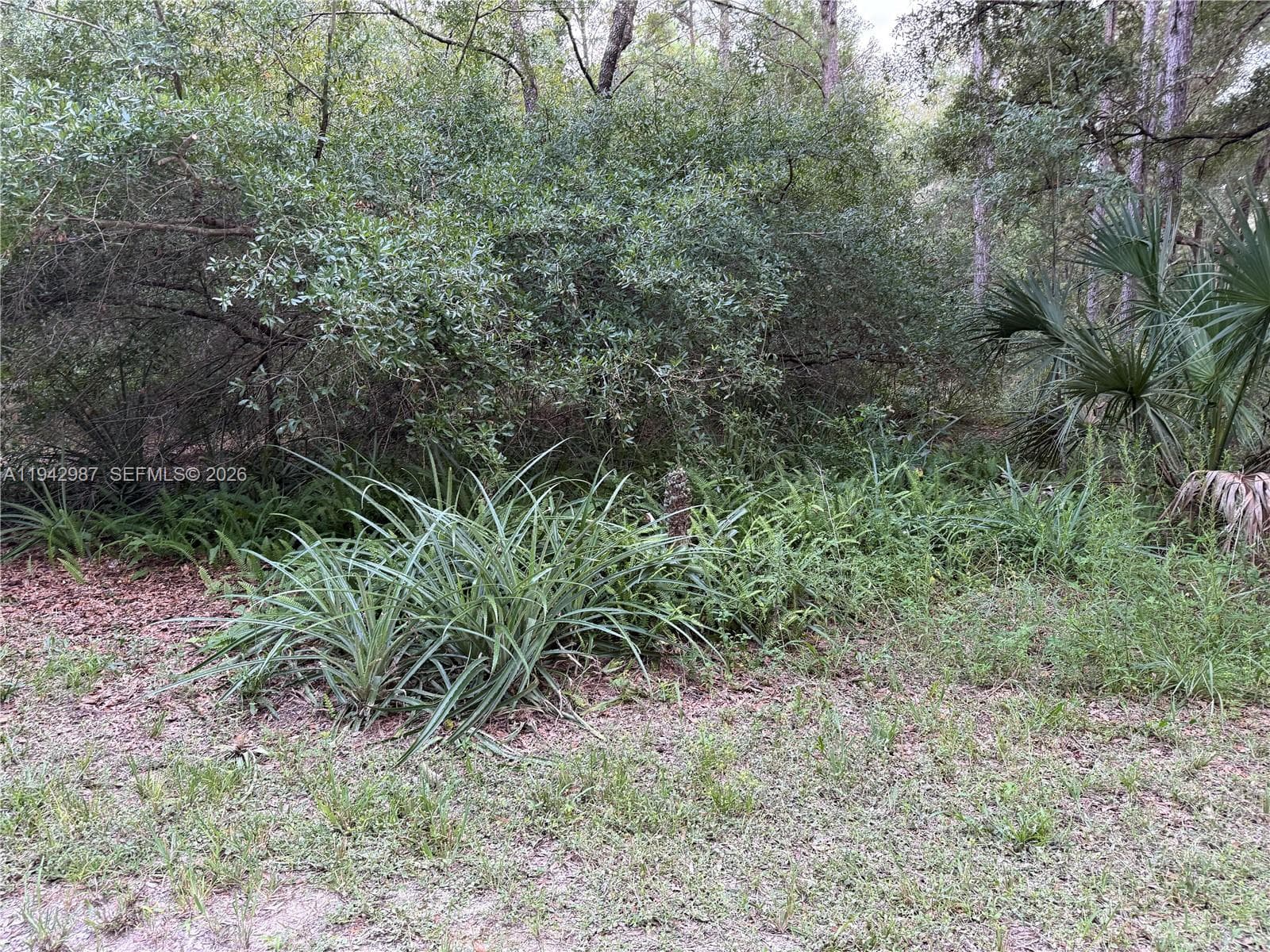 0 St Benedict Dr, Other City - In The State Of Florida FL 34432