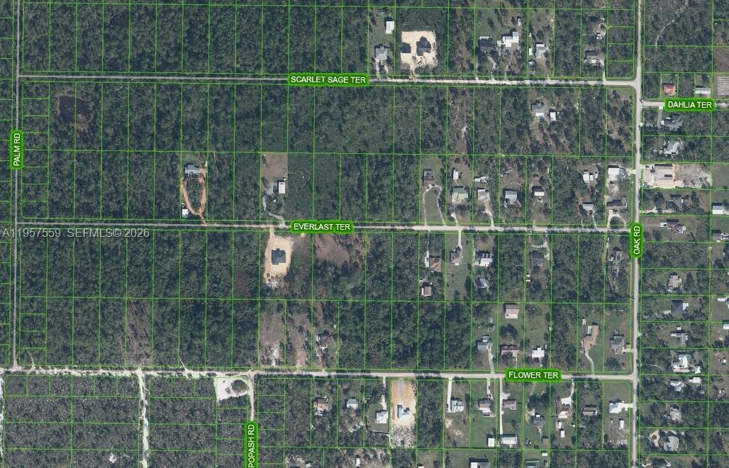 1981 SCARLET SAGE TER, Sebring FL 33875