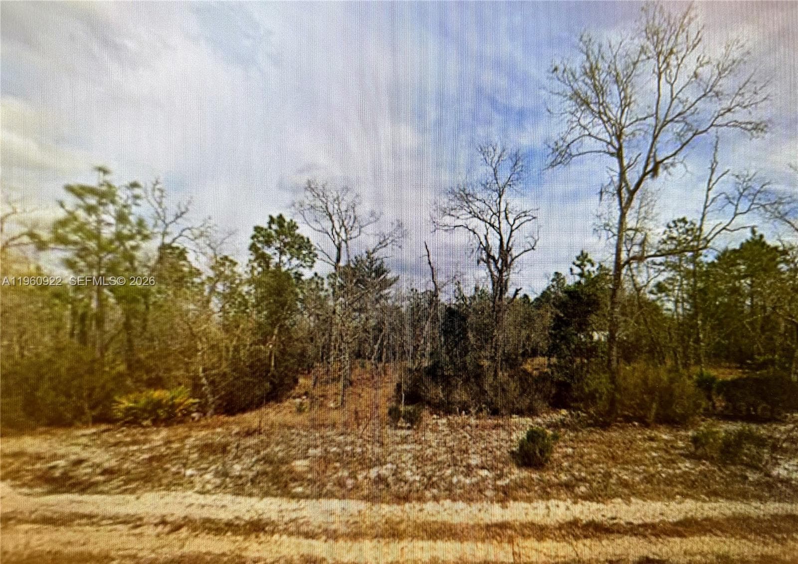 00 Hudson St, Palatka FL 32148