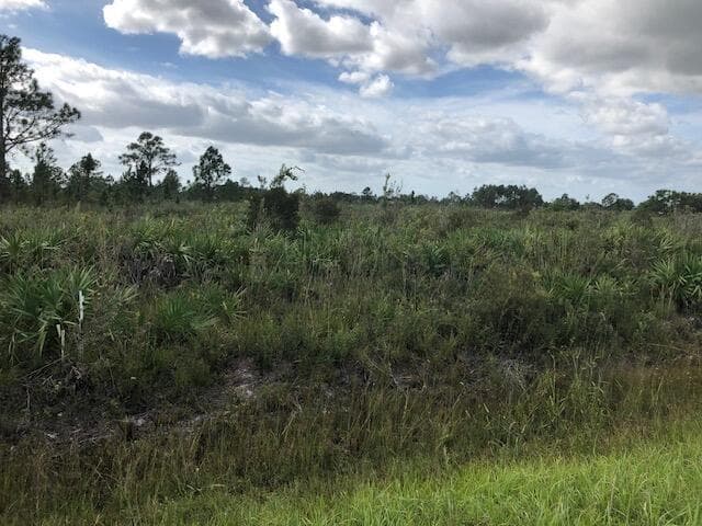 Nnne Undetermined, Ocala FL 34473
