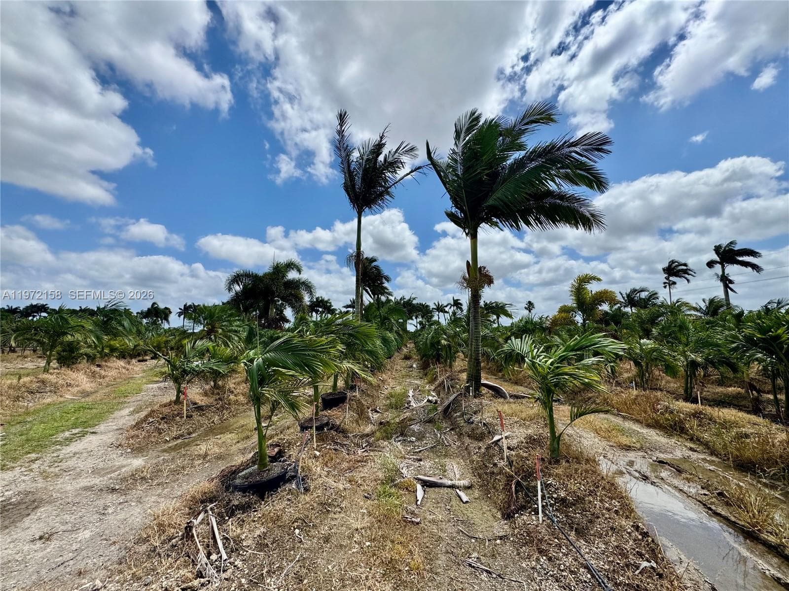 32802 SW 202 Ave, Homestead FL 33034