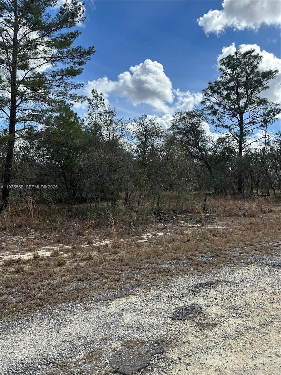 Ocala, FL, 34481