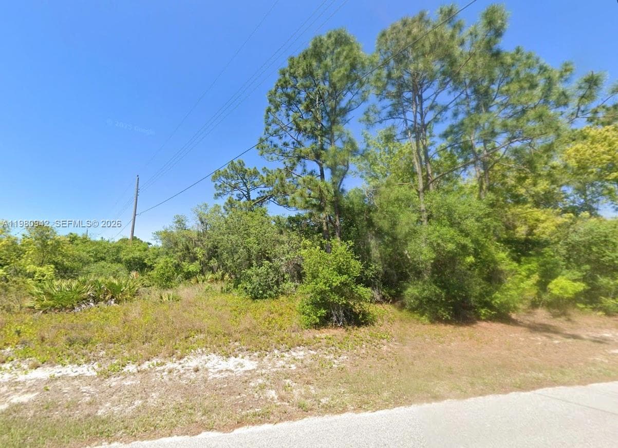 235 Deerwalk Ave, Lake Placid FL 33852