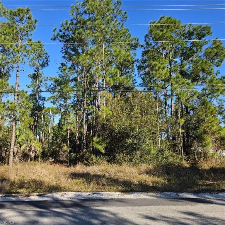 3903 E 10th ST, Lehigh Acres FL 33972