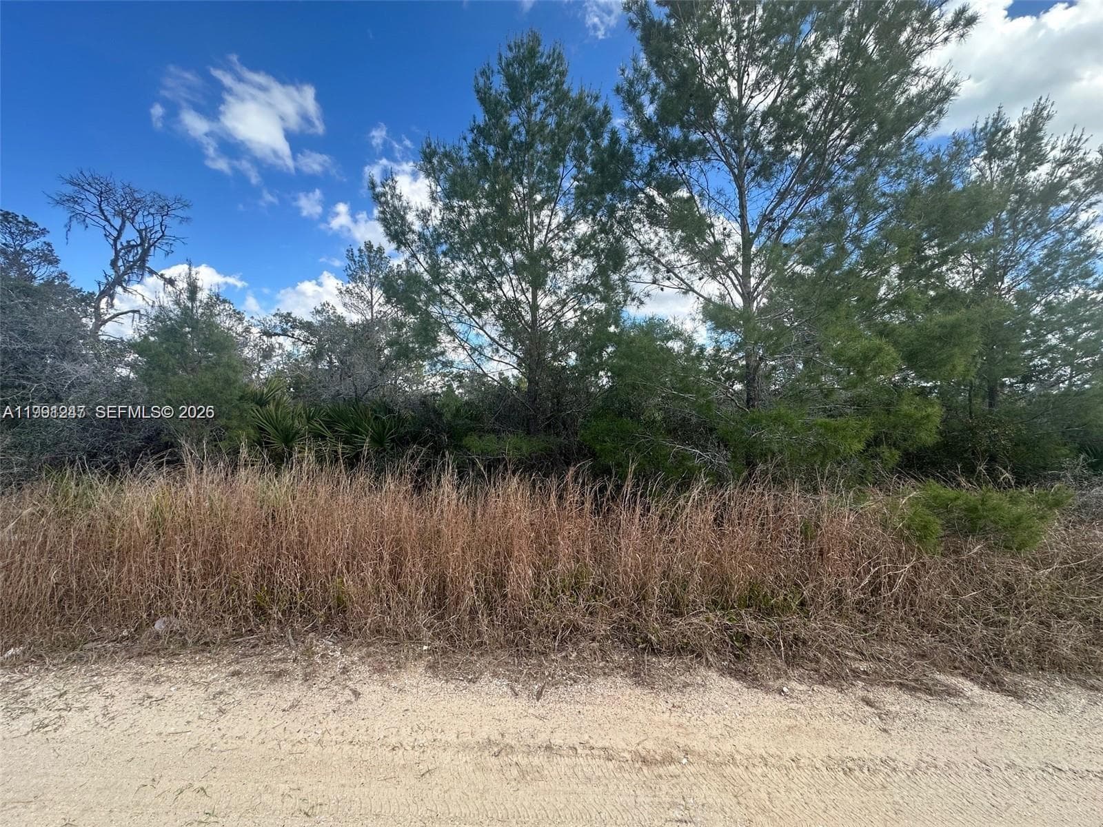 123 DARTMOOR AVE, Lake Placid FL 33852