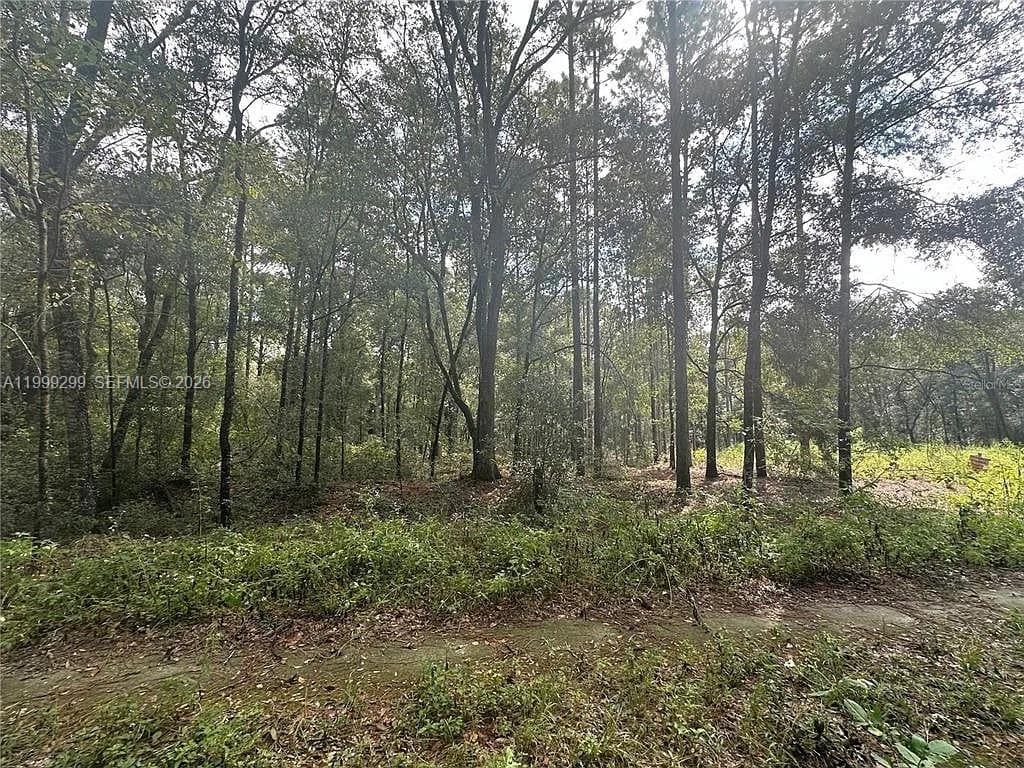 0 SW 153rd AVE, Ocala FL 34481