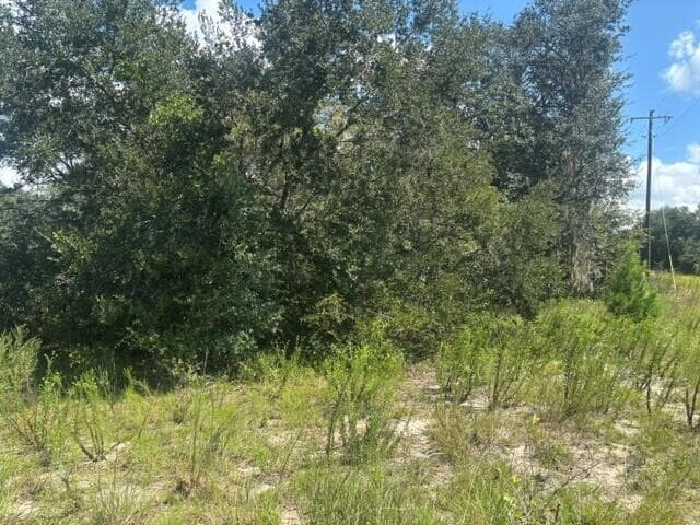 0 Shirley Street, FL 32148