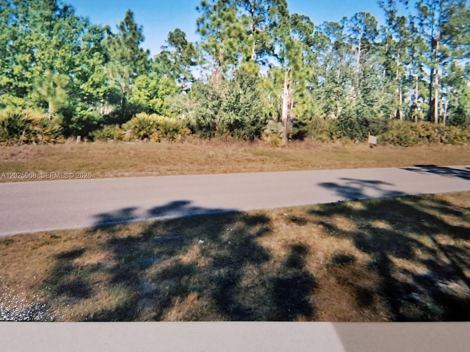 757 Appaloosa Ave, Clewiston FL 33440