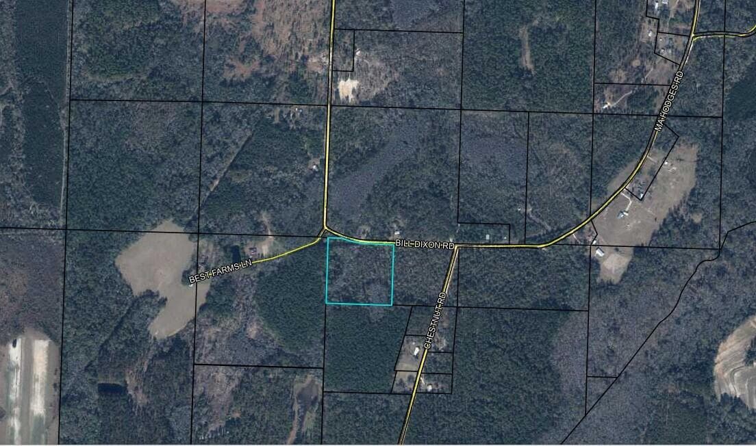 0 Bill Dixon Road, FL 32440