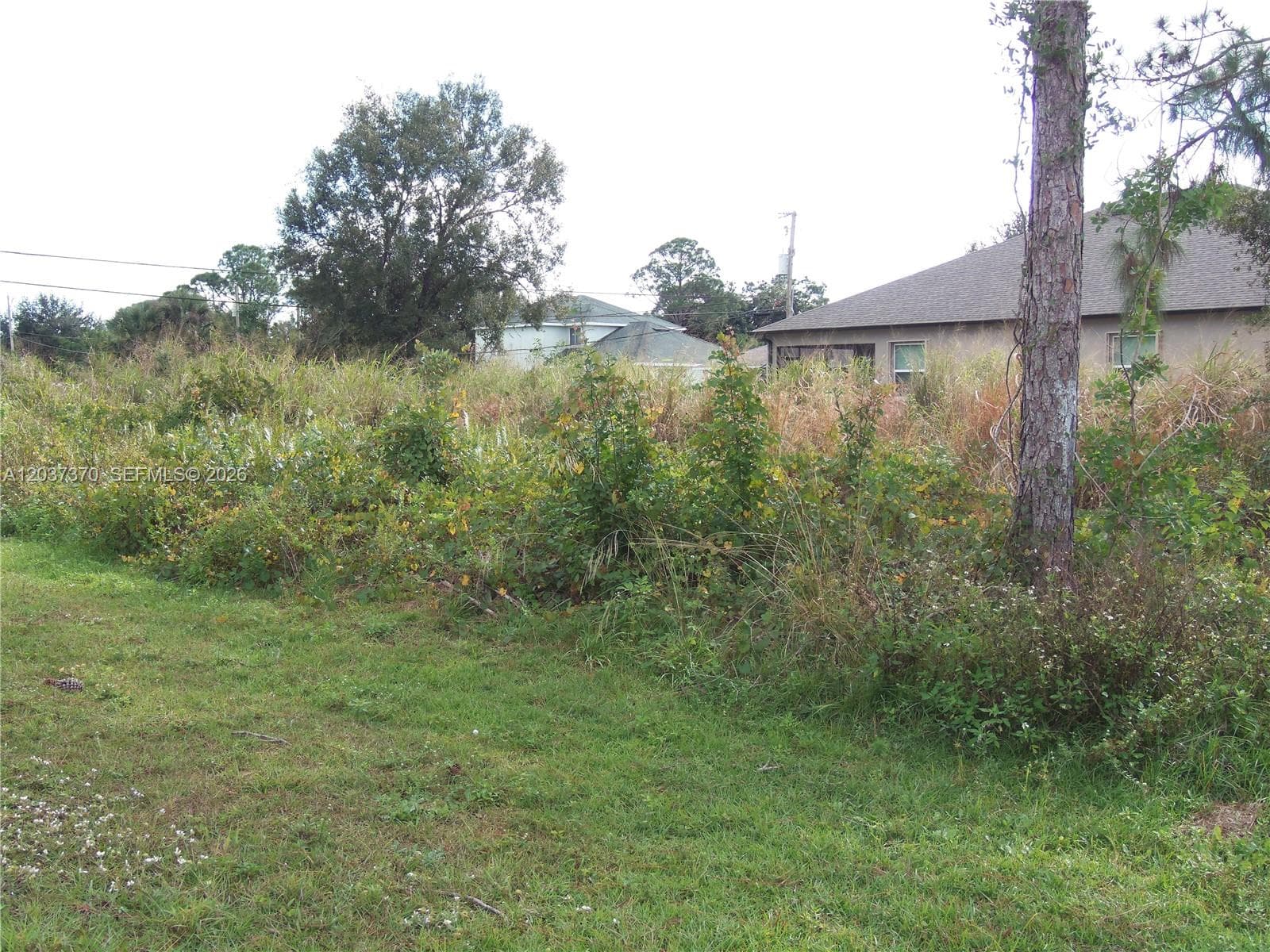 YARD