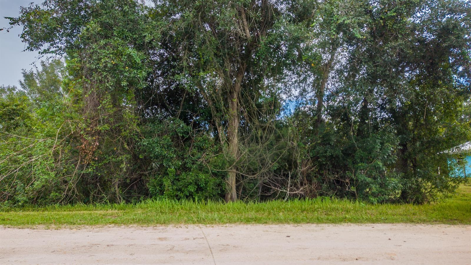 Westphal Property DRONES-8