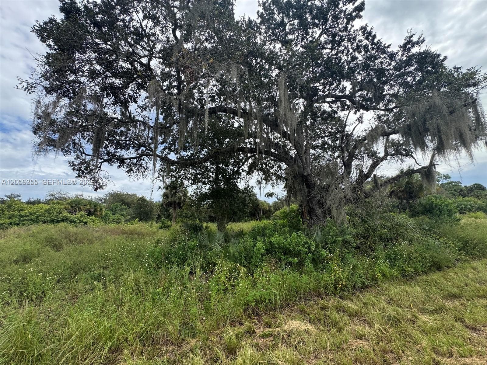 621 Trumpet Dr, La Belle FL 33935