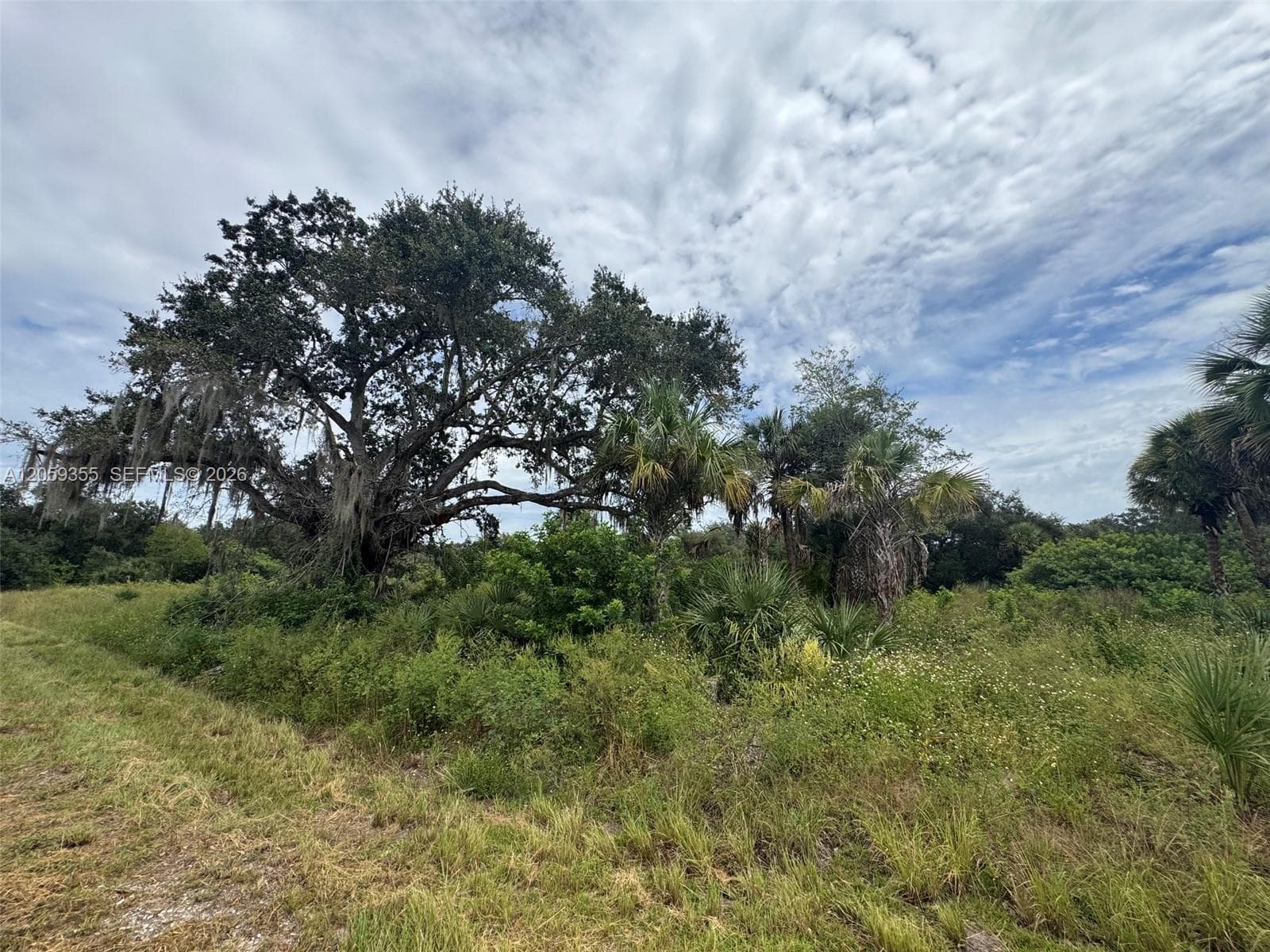 621 Trumpet Dr, La Belle FL 33935