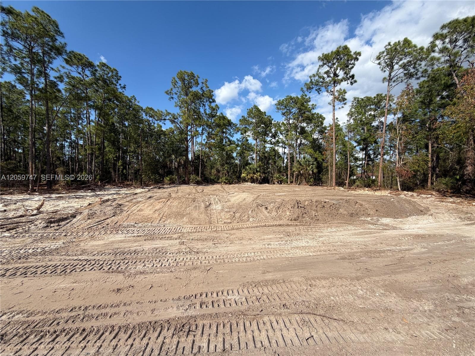 1305 E 11 St, Lehigh Acres FL 33972