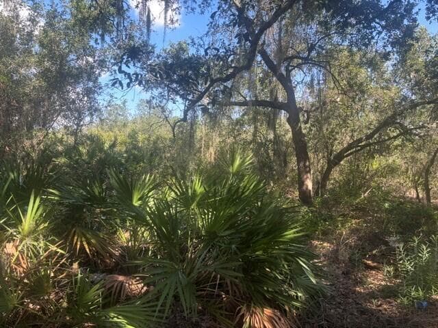 1211 Mayfair Street, Lake Placid FL 33852