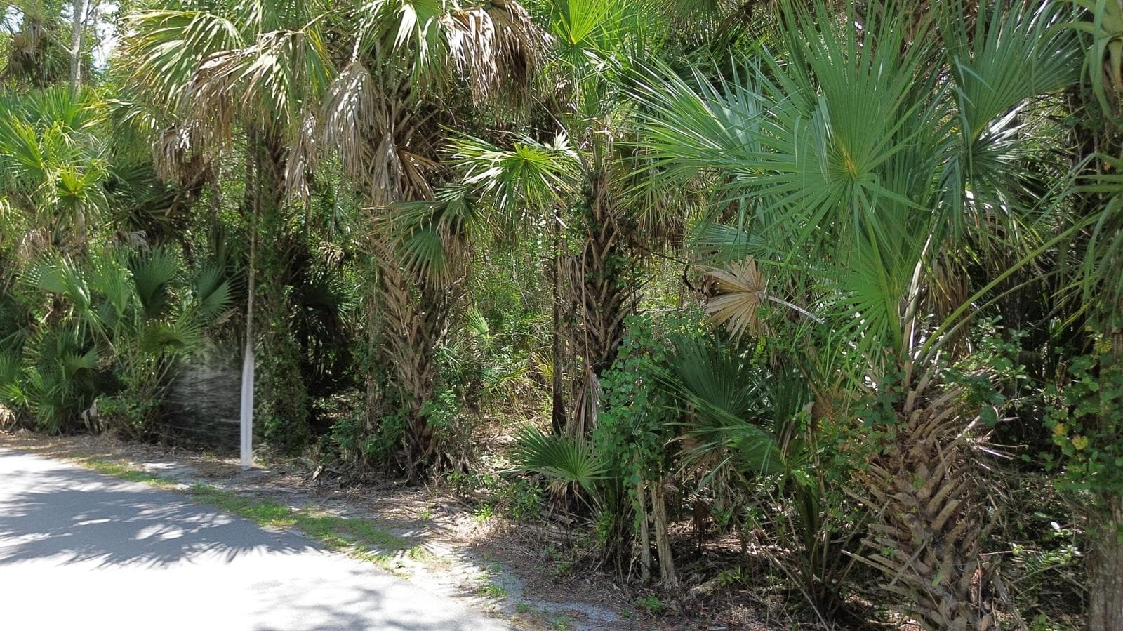 2256 Fawn Drive, FL 33470
