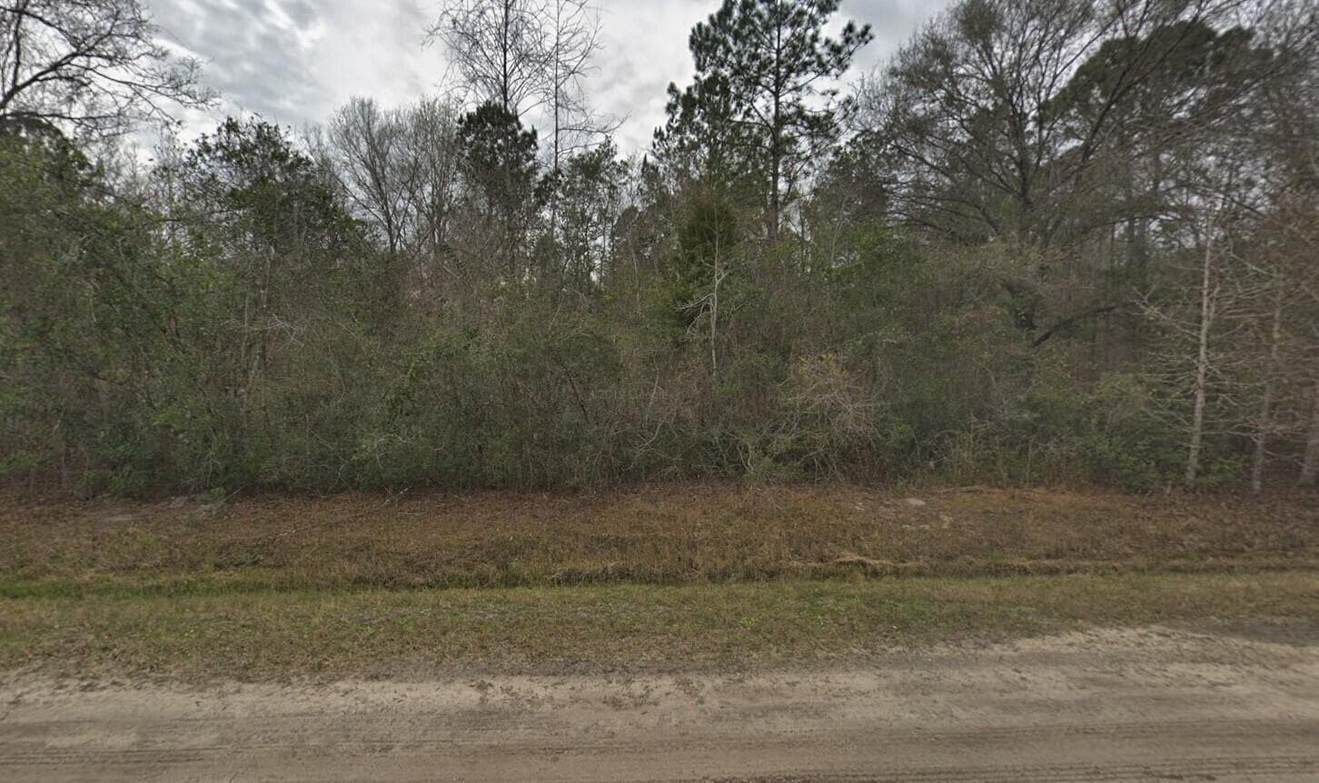 10135 Nikolich Avenue, FL 32145