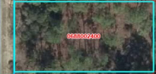 000 SE 134th Court SE, FL 34431