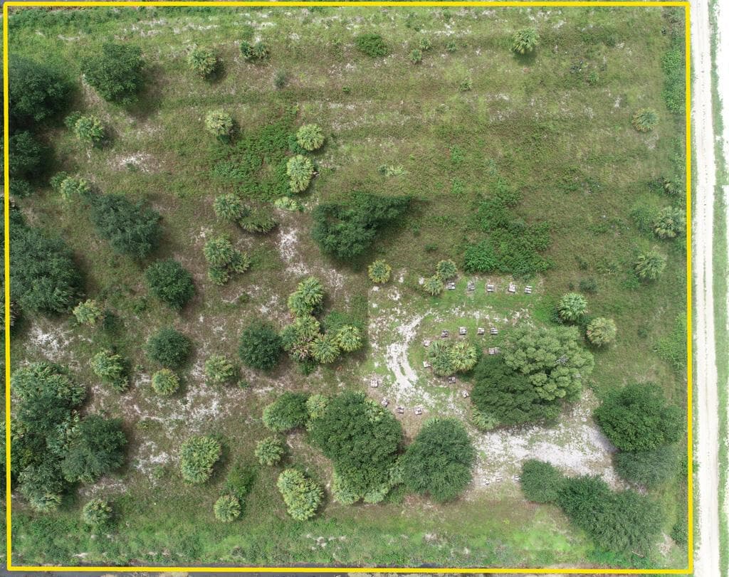 Ariel view