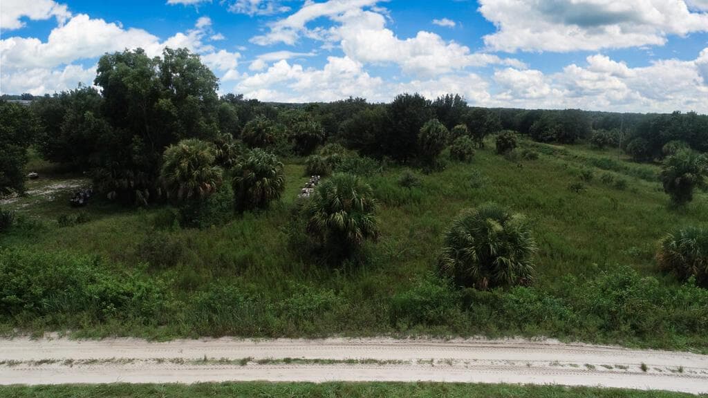 Xx Lot 1880 LOUISE ST NW, Loxahatchee FL 33470