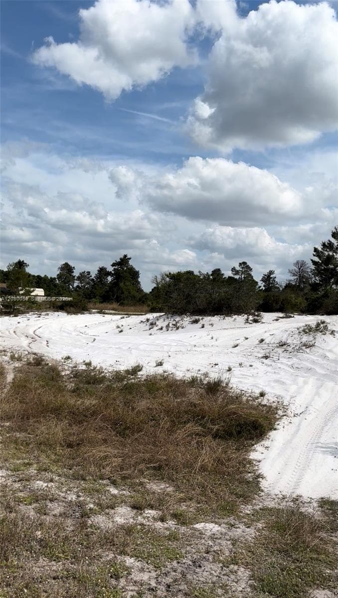1215 Aleutian St NE, Lake Placid FL 33852