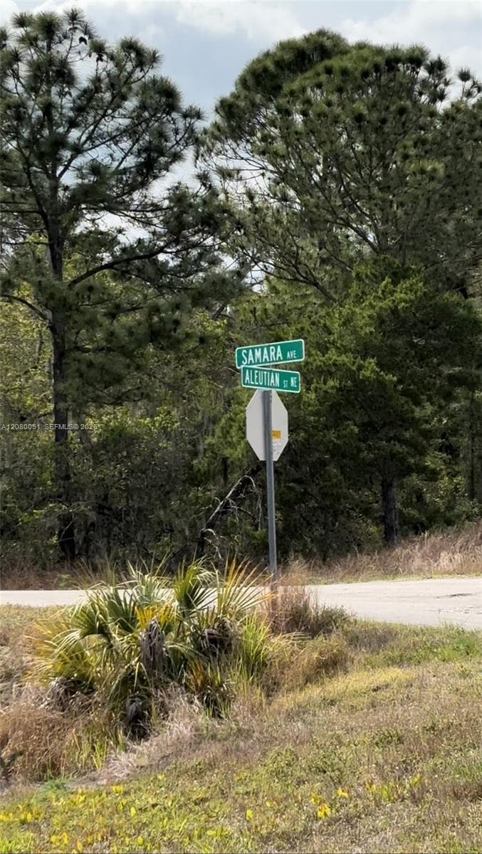 1215 Aleutian St NE, Lake Placid FL 33852