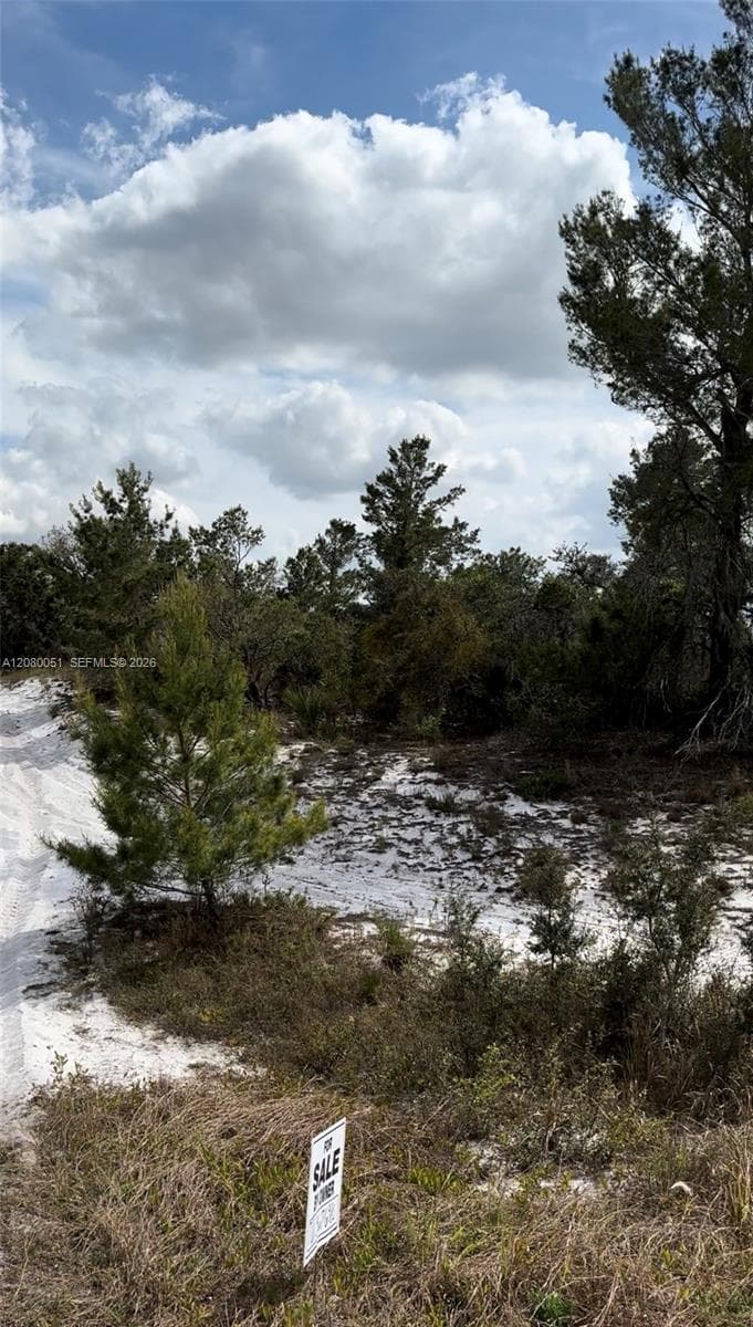 1215 Aleutian St NE, Lake Placid FL 33852