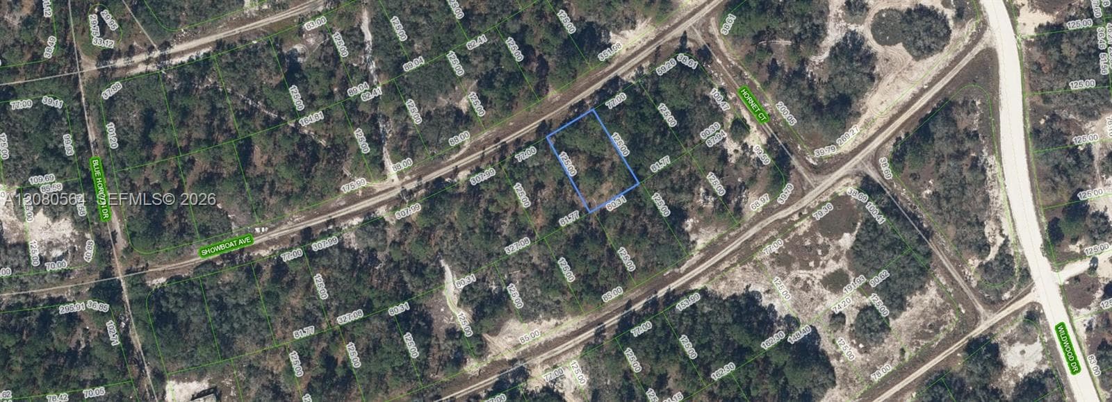 387 Showboat Ave, Lake Placid FL 33852