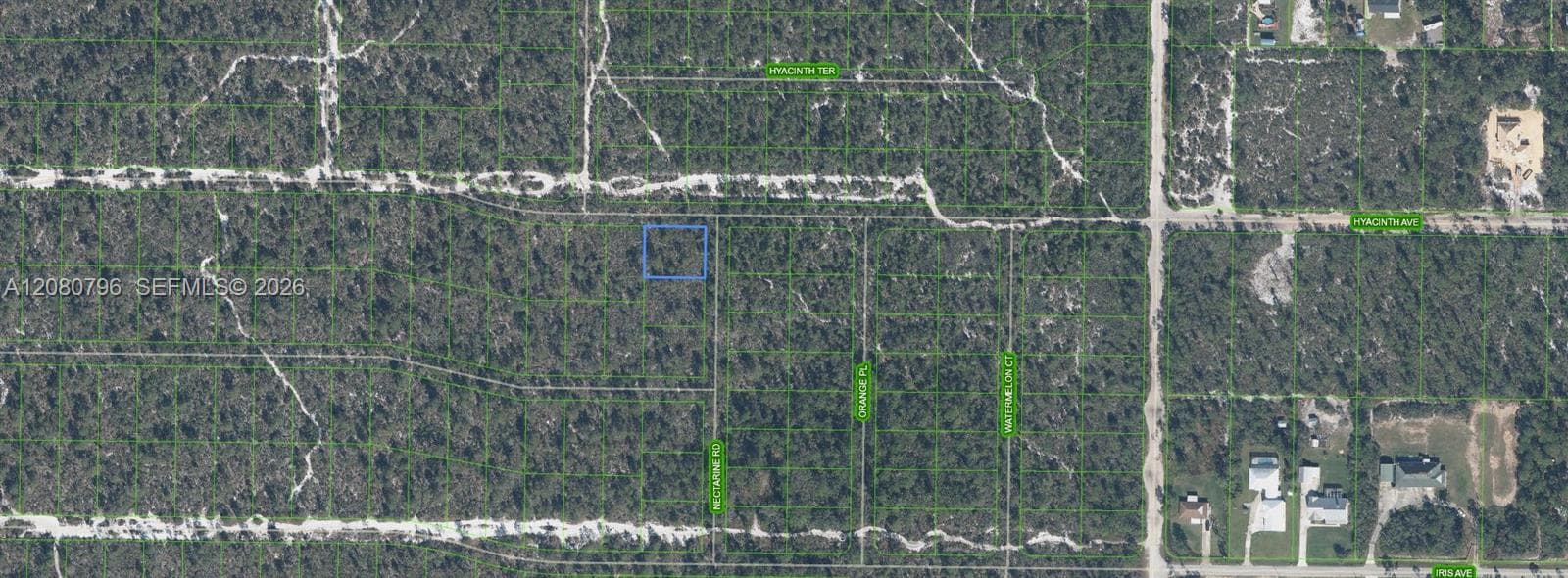 1303 Hyacinth Ave, Sebring FL 32303