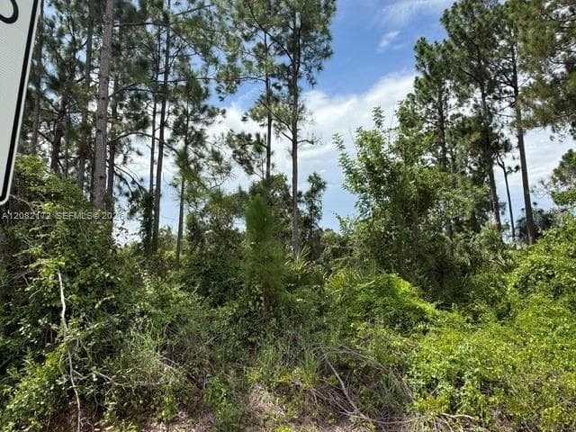 3607 Peugeot St, Sebring FL 33872