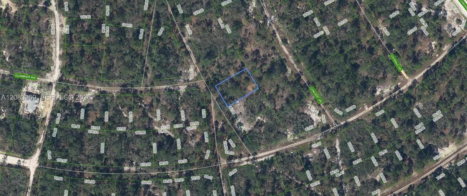 379 Blue Horizon  Drive, Lake Placid FL 33852