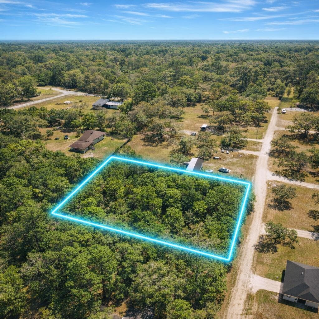 acacia aerial 2