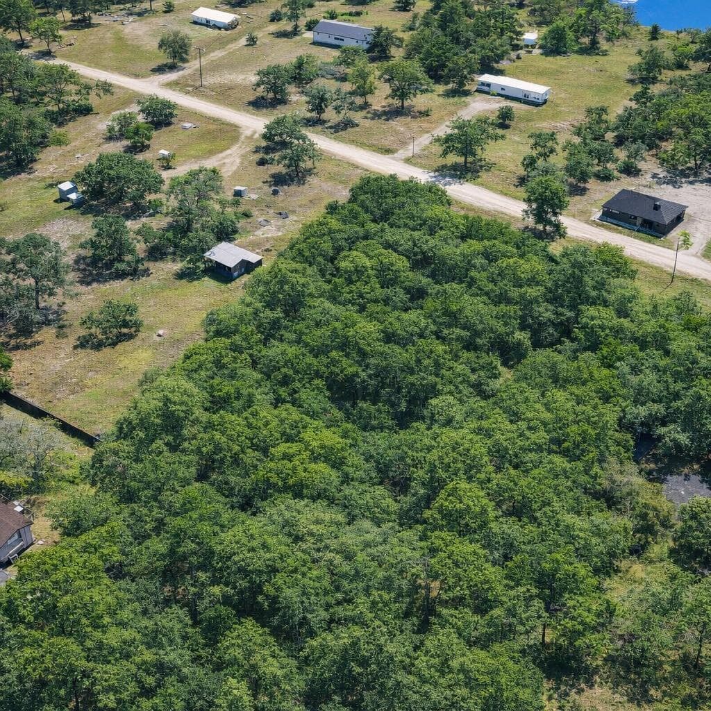 acacia aerial 4