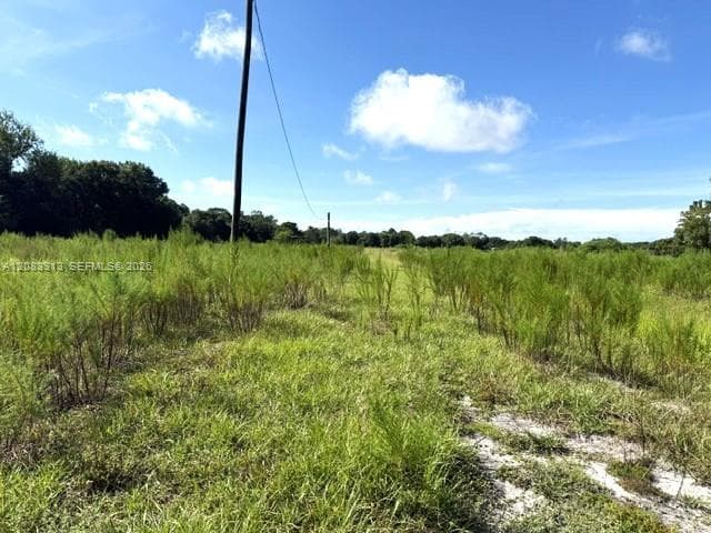 3003 Hicks Rd, Lorida FL 33857