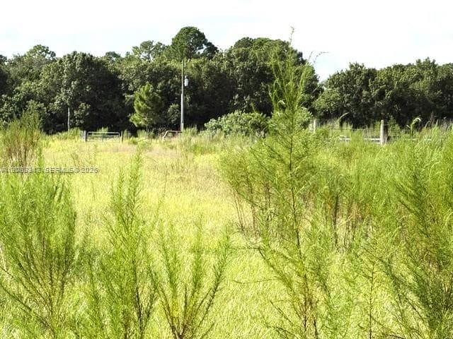 3003 Hicks Rd, Lorida FL 33857